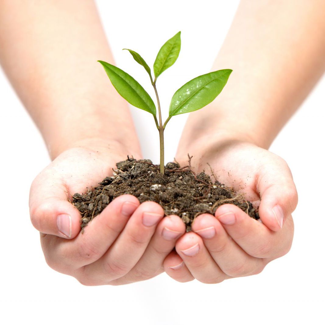 落實環境保護，努力節能減碳 